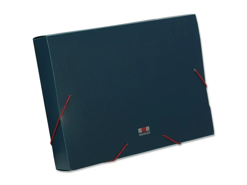 PP MANAGER CARPETA PROYECTO 50 MM AZUL