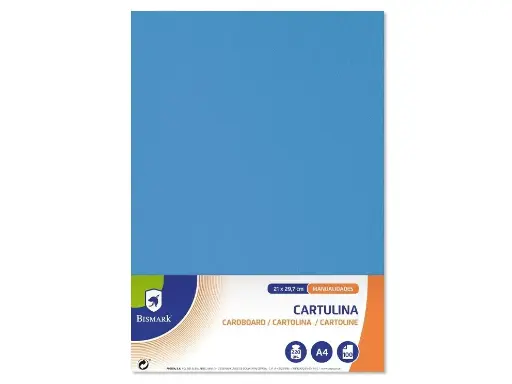 CARTULINA A4 100 Hojas.