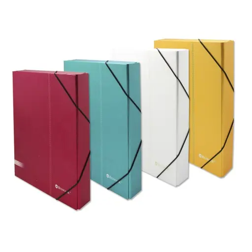 [323813] CARPETA PROYECTOS CARTON 30mm PASTEL COL. SURTID.